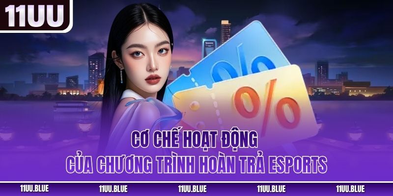 Cơ chế hoạt động của chương trình hoàn trả Esports