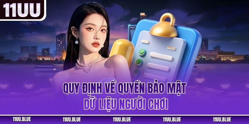 Quy định về quyền bảo mật dữ liệu người chơi